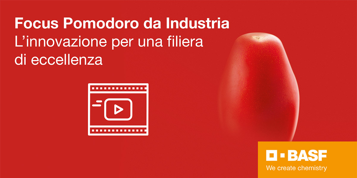Pomodoro da industria, da Basf una miniserie dedicata